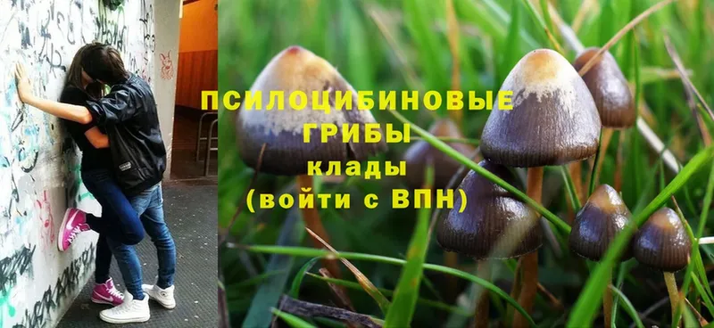 Галлюциногенные грибы Magic Shrooms  купить наркотики сайты  Лангепас 